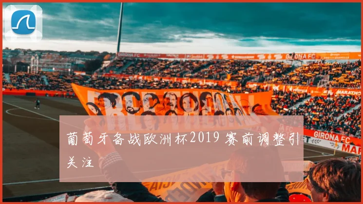 葡萄牙备战欧洲杯2019 赛前调整引关注