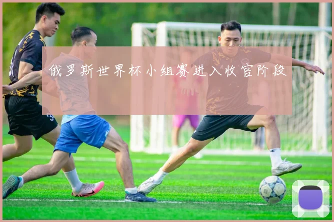 俄罗斯世界杯小组赛进入收官阶段