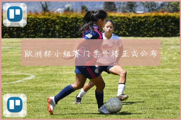 欧洲杯小组赛门票价格正式公布