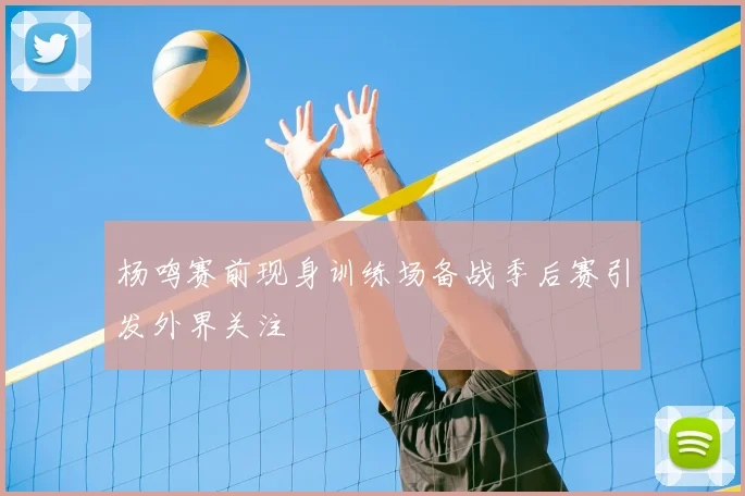 杨鸣赛前现身训练场备战季后赛引发外界关注