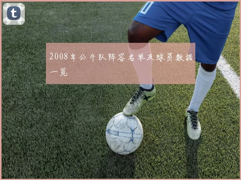 2008年公牛队阵容名单及球员数据一览