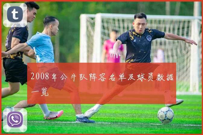 2008年公牛队阵容名单及球员数据一览