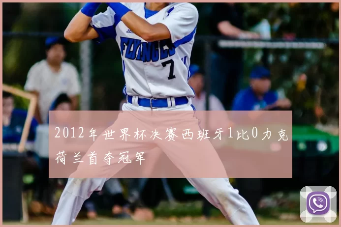 2012年世界杯决赛西班牙1比0力克荷兰首夺冠军